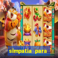 simpatia para ganhar no bingo de cartela